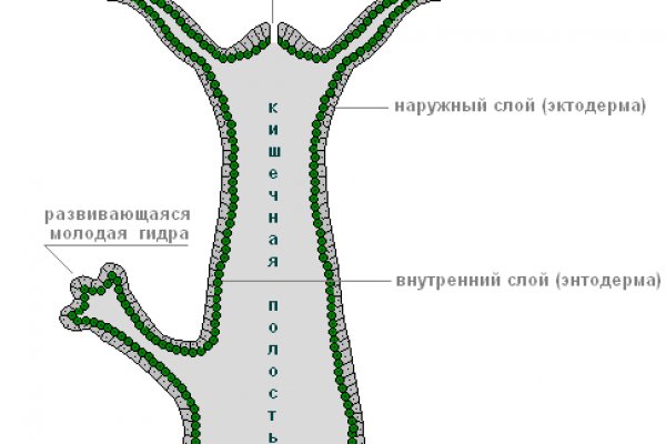 Кракен наркота что это