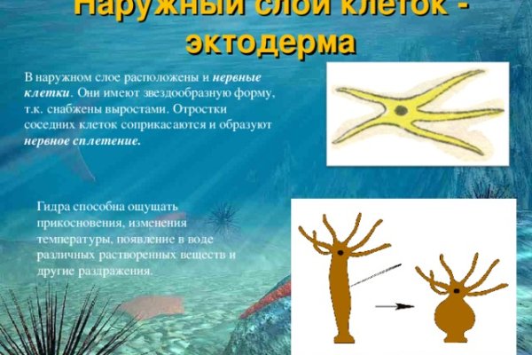 Восстановить аккаунт кракен