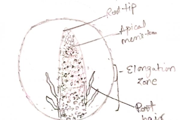 Кракен 15 ссылка