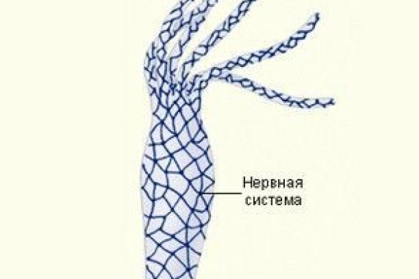 Кракен запрещенные вещества